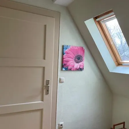 Lahann Apartment